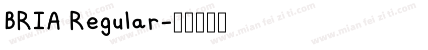 BRIA Regular字体转换